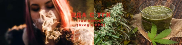 стаф Белокуриха