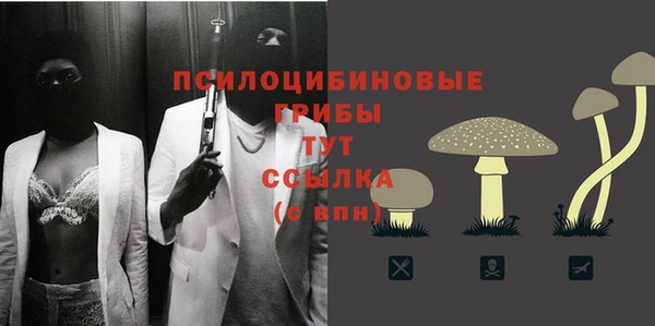 стаф Белокуриха