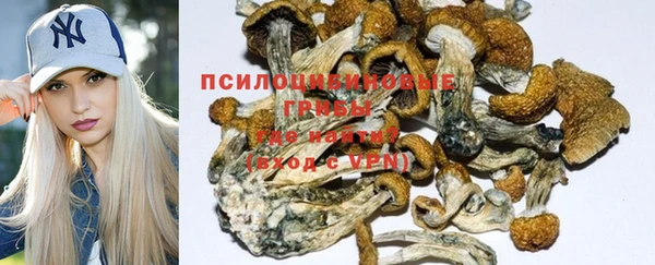 MDMA Premium VHQ Беломорск