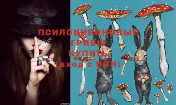 стаф Белокуриха