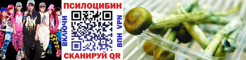 Галлюциногенные грибы мицелий  цены наркотик  Кемерово 